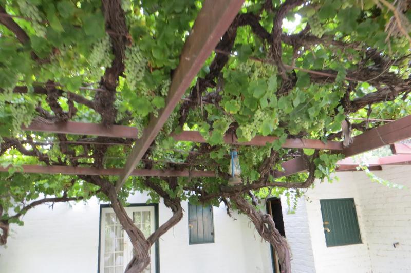 4 Bedroom Property for Sale in Nieu Bethesda Eastern Cape